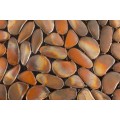 Industri&aacute;lny okr&uacute;hly konferenčn&yacute; stol&iacute;k Riverstone z kovu medenej farby 72cm