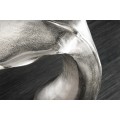 &Scaron;t&yacute;lov&yacute; art deco kovov&yacute; pr&iacute;ručn&yacute; stol&iacute;k Whale v striebornej farbe v podobe veľrybieho chvostu 60 cm 